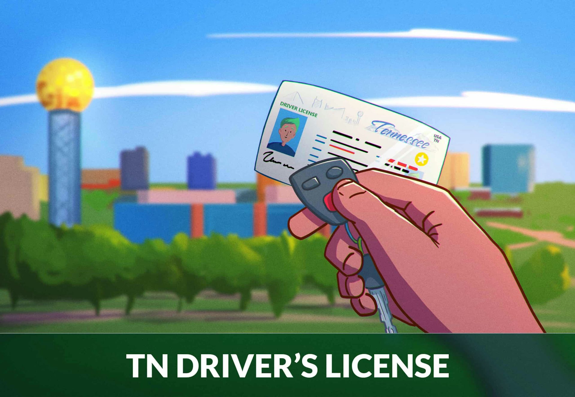 Tennessee Driver's License Renewal Guide Zutobi Drivers Ed